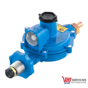 Regulador R4 Yasaki Acción Directa Única Etapa